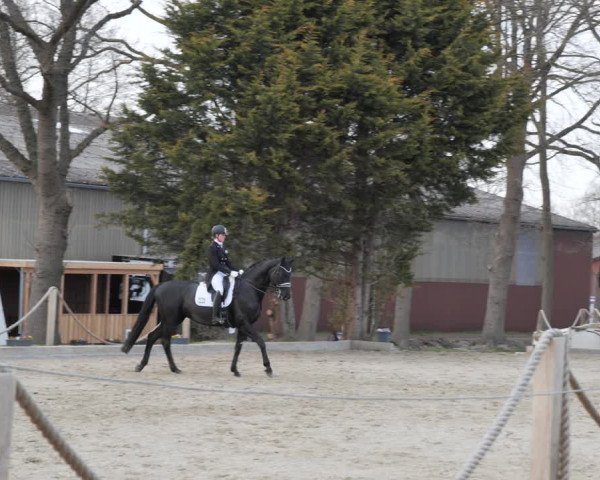 Reitturnier Handorf 2021
