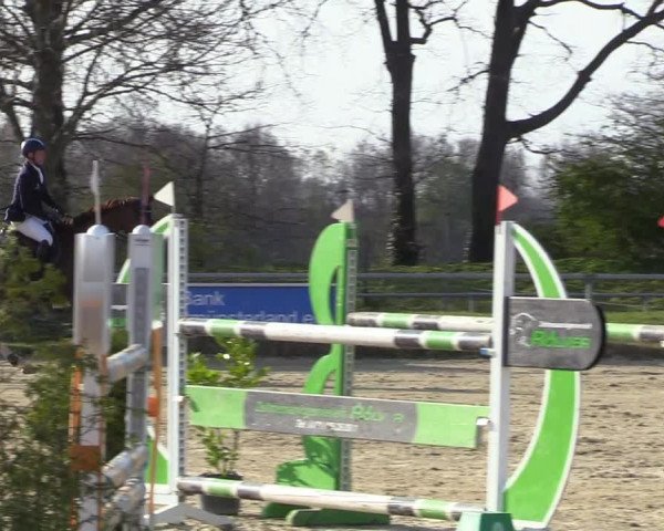 Reitturnier Coesfeld-Lette 2021