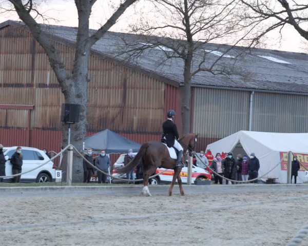Reitturnier Handorf 2021