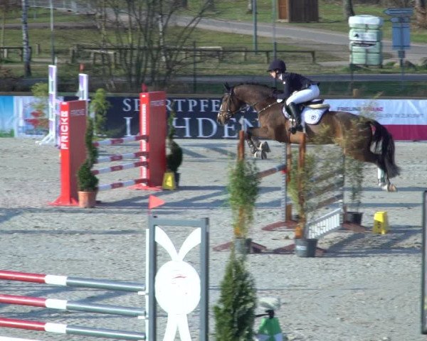 FEI Reitturnier Westergellersen (GER) 2021