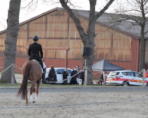 Reitturnier Handorf 2021