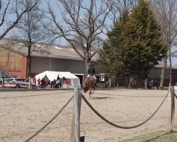 Reitturnier Handorf 2021