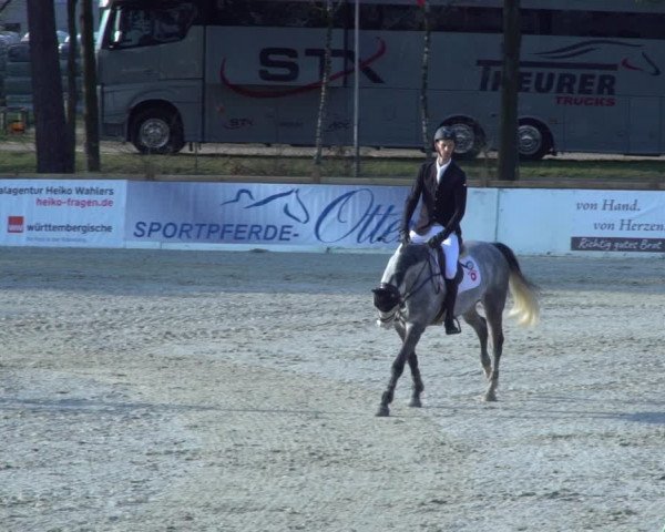 FEI Reitturnier Westergellersen (GER) 2021