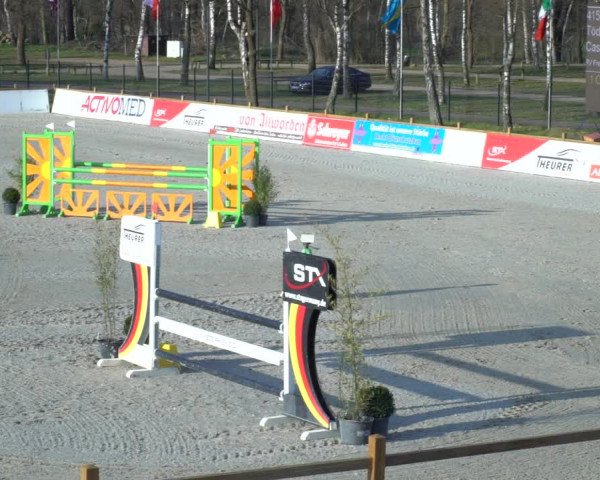 FEI Reitturnier Westergellersen (GER) 2021