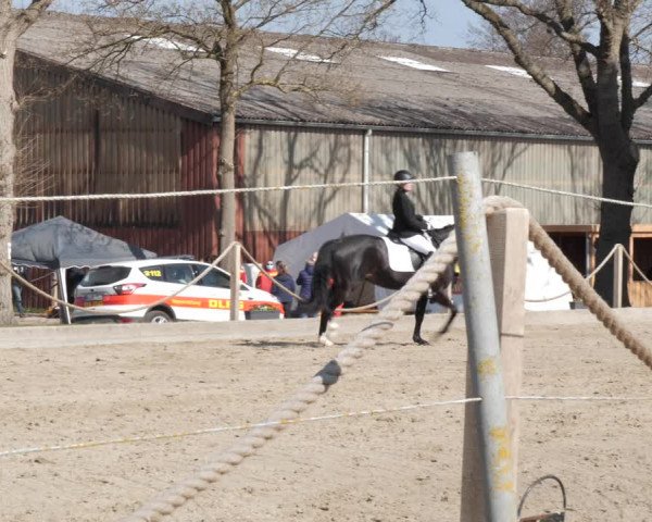 Reitturnier Handorf 2021