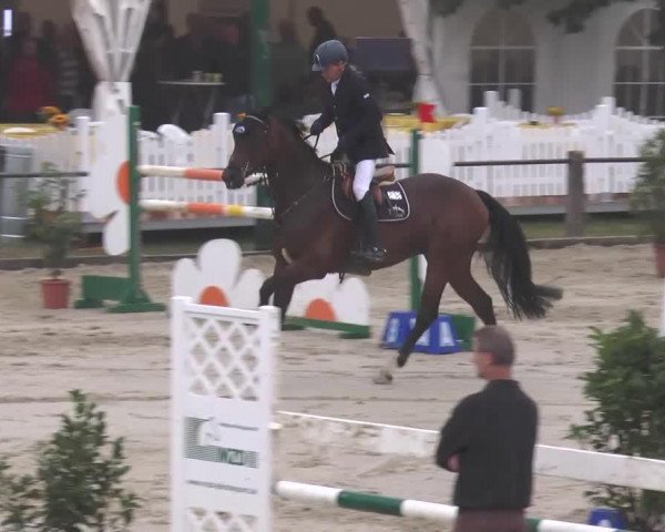 jumper Cara (Oldenburg, 2006, from Conterno Grande)
