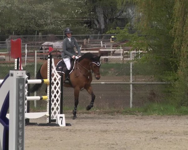Reitturnier Lampertheim 2021