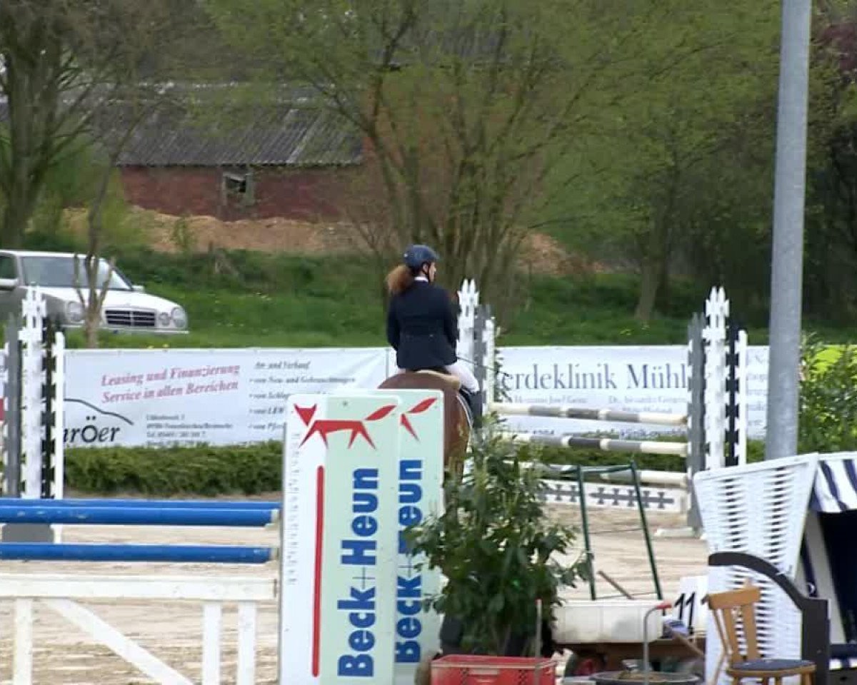 broodmare Lilofee 30 (Oldenburg, 2007, from Lordanos)