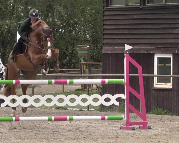 Reitturnier Lampertheim 2021