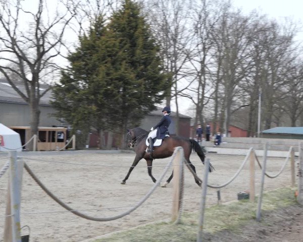 Reitturnier Handorf 2021