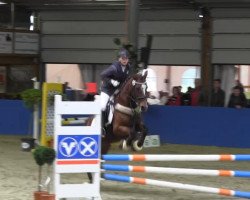 dressage horse Gigolo 334 (unknown, 1989)