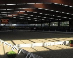 dressage horse Hoflady (Hanoverian, 2003, from Hofrat)
