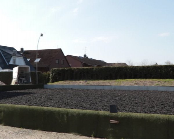 Reitturnier Handorf 2021