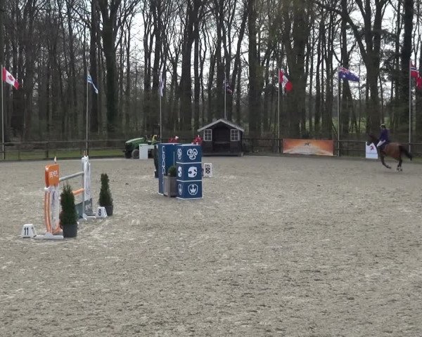 Reitturnier Klein Roscharden 2021