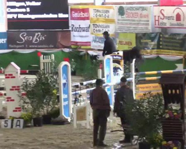 jumper Cantellano (Holsteiner, 2004, from Canturo)