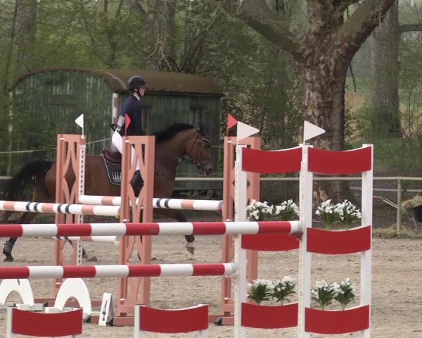 Reitturnier Lampertheim 2021