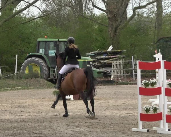 Reitturnier Lampertheim 2021