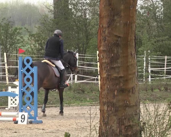 Reitturnier Lampertheim 2021