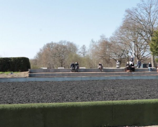 Reitturnier Handorf 2021