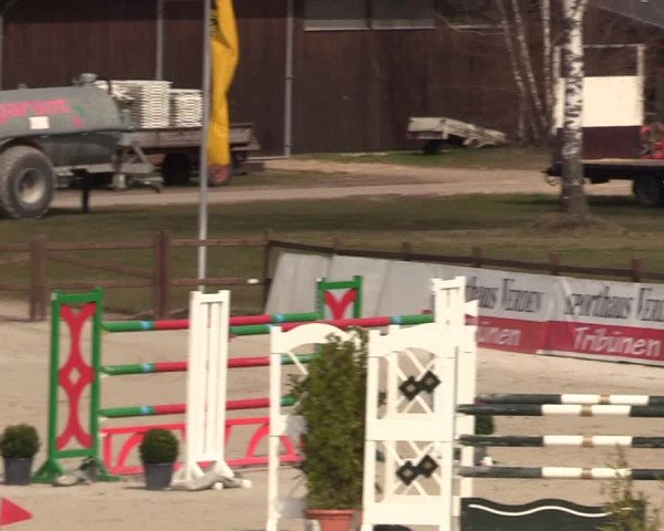 FEI Reitturnier Westergellersen (GER) 2021