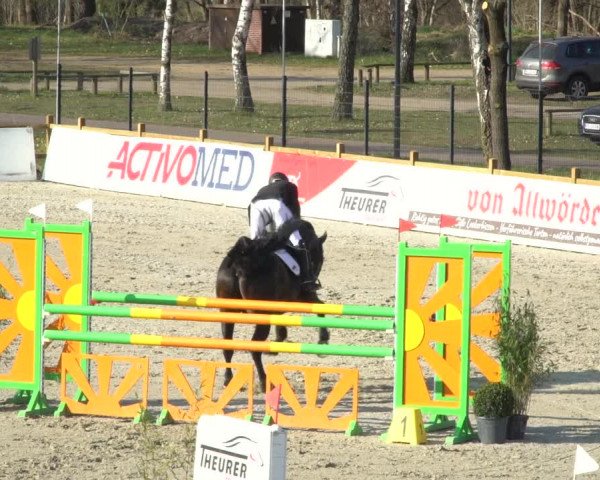 FEI Reitturnier Westergellersen (GER) 2021