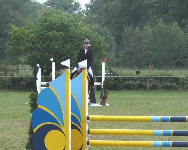 jumper Don Camillo 200 (Oldenburg, 2003, from Don Larino 171 FIN)