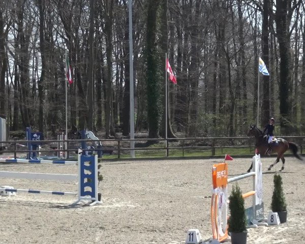 Reitturnier Klein Roscharden 2021