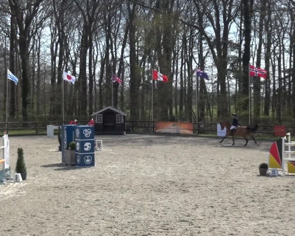 Reitturnier Klein Roscharden 2021