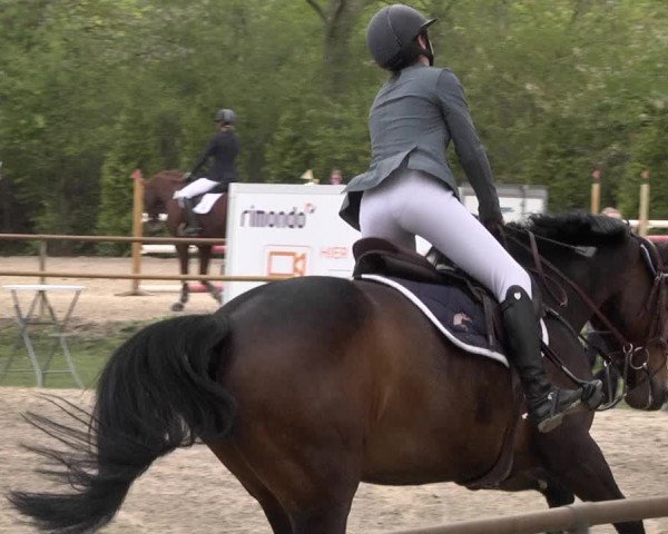 Reitturnier Lampertheim 2021