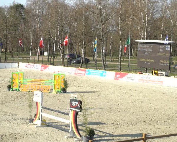 FEI Reitturnier Westergellersen (GER) 2021