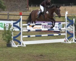 broodmare Corina 106 (Westphalian, 2006, from Co-Pilot)