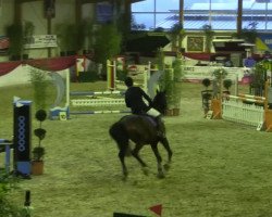 jumper Enrique 2 (Hanoverian, 1998, from Egmont)