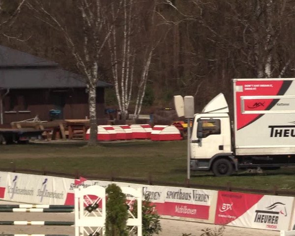 FEI Reitturnier Westergellersen (GER) 2021