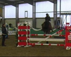 jumper Casper 194 (Westphalian, 2002, from Collin L)