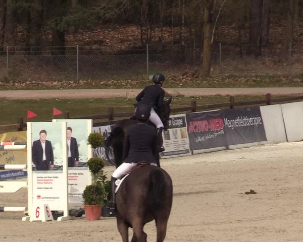 FEI Reitturnier Westergellersen (GER) 2021