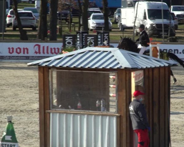 FEI Reitturnier Westergellersen (GER) 2021