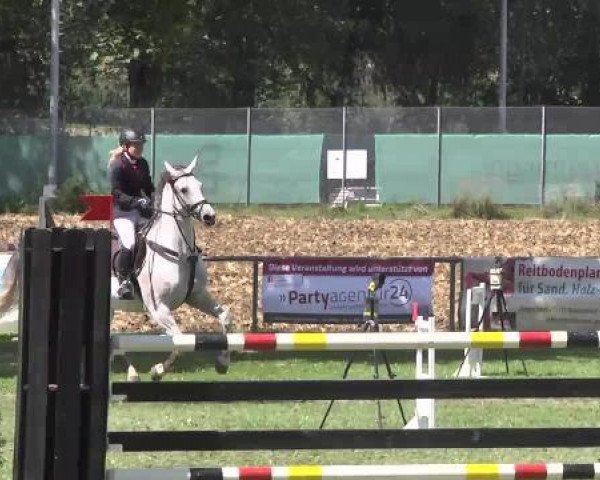 broodmare Cher 39 (Württemberger, 2005, from Candillo Z)