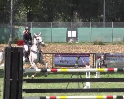 broodmare Cher 39 (Württemberger, 2005, from Candillo Z)