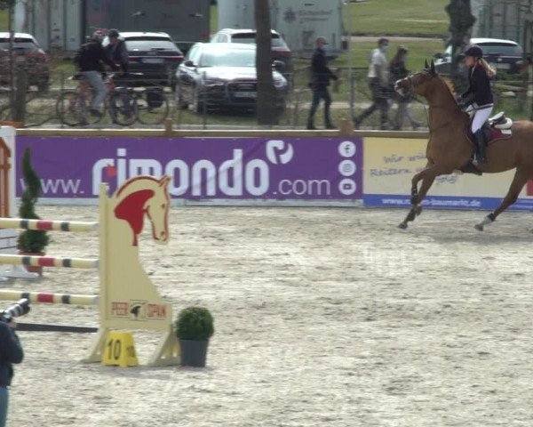 FEI Reitturnier Westergellersen (GER) 2021