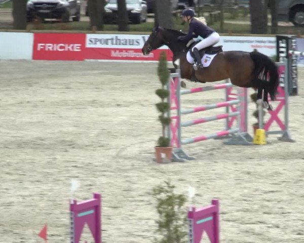 FEI Reitturnier Westergellersen (GER) 2021