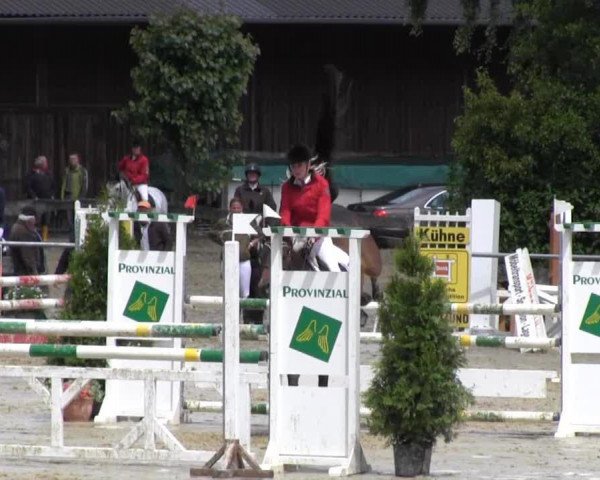 jumper Sunny Boy (Hanoverian, 2000, from Silvio I)