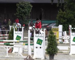 jumper Sunny Boy (Hanoverian, 2000, from Silvio I)