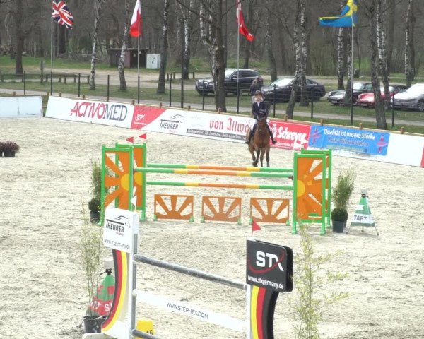 FEI Reitturnier Westergellersen (GER) 2021