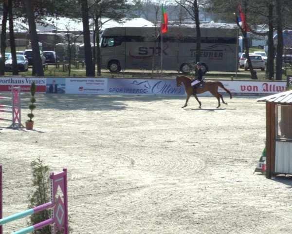 FEI Reitturnier Westergellersen (GER) 2021
