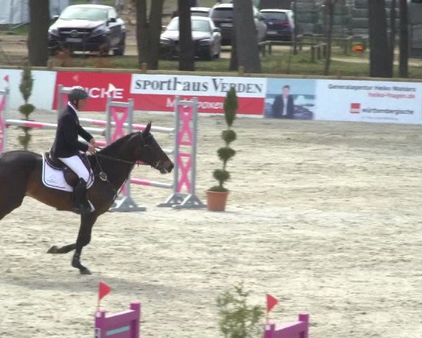 FEI Reitturnier Westergellersen (GER) 2021