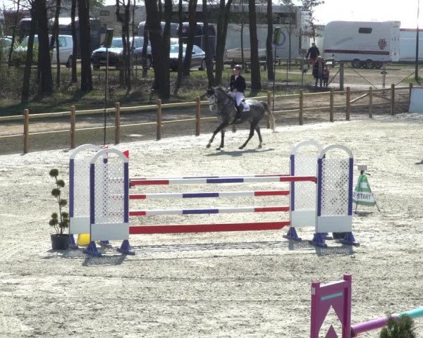 FEI Reitturnier Westergellersen (GER) 2021