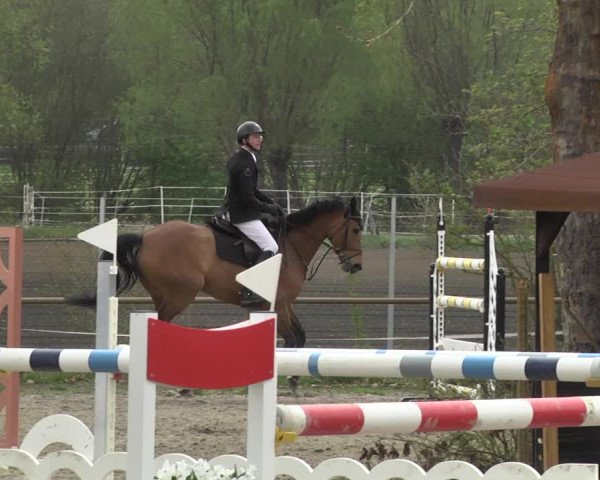 Reitturnier Lampertheim 2021