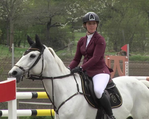 Reitturnier Lampertheim 2021