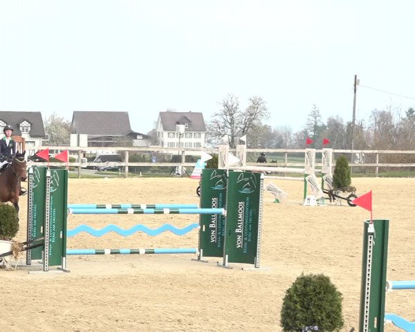 Reitturnier Wädenswil 2021