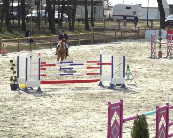 FEI Reitturnier Westergellersen (GER) 2021